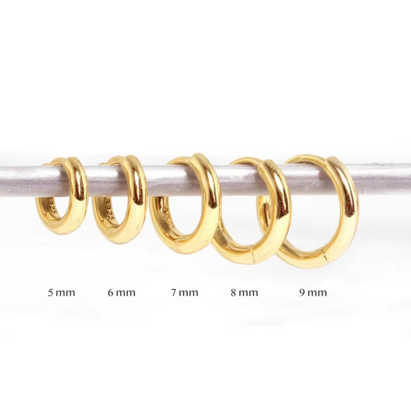 Dropshipping 925 Sterling Silver Simple Plain round Classic Ins Style Geometric Minimalist All-Match Hoop Earrings for Women