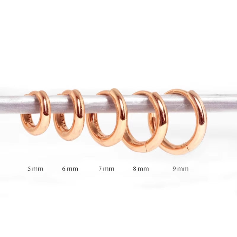 Dropshipping 925 Sterling Silver Simple Plain round Classic Ins Style Geometric Minimalist All-Match Hoop Earrings for Women