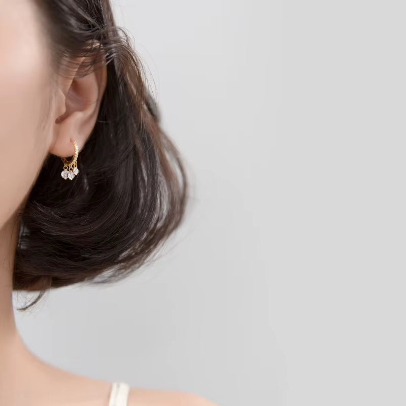 2024 Fine Jewelry Women 925 Sterling Silver Charms Earrings Fashion CZ Diamond Dangle Drop Hoop Earrings Wholesale
